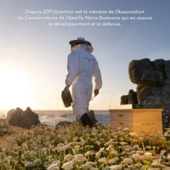 Guerlain Abeille Royale Bee Lab Shot Cure Anti-âge -Kapao Boutique ab royale perles 9