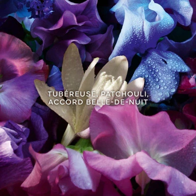 Guerlain Absolus Allegoria Florabloom Eau De Parfum 3 Guerlain Absolus Allegoria Florabloom Eau De Parfum – Image 3