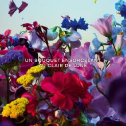 Guerlain Absolus Allegoria Florabloom Eau De Parfum 17 Guerlain Absolus Allegoria Florabloom Eau De Parfum -Kapao Boutique absolus allegoria florabloom 3