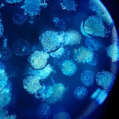 Biotherm Biovergetures Gel-Crème Corps Prévention Vergetures 16 Biotherm Biovergetures Gel-Crème Corps Prévention Vergetures -Kapao Boutique biovergetures gel creme corps prevention vergetures 7