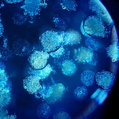 Biotherm Biovergetures Gel-Crème Corps Prévention Vergetures 8 Biotherm Biovergetures Gel-Crème Corps Prévention Vergetures – Image 8