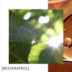 Biotherm Blue Therapy Crème De Nuit Nutrition Et Éclat -Kapao Boutique blue therapy creme de nuit nutrition et eclat 2