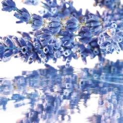 Coffret Mon Guerlain Coffret Pour Femme -Kapao Boutique coffret mon guerlain 3