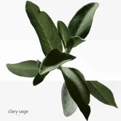 Hermès H24 Savon -Kapao Boutique h24 savon 4