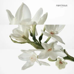 Hermès H24 Savon -Kapao Boutique h24 savon 5