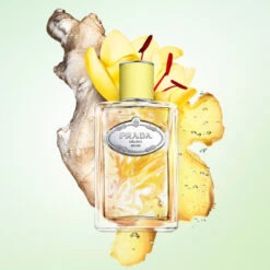 Prada Infusion De Gingembre Eau De Parfum -Kapao Boutique inf gingembre edp 2