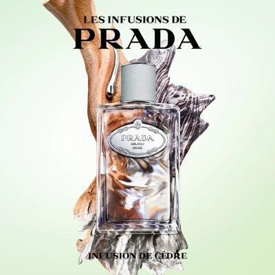 Prada Infusion De Cèdre Eau De Parfum 3 Prada Infusion De Cèdre Eau De Parfum – Image 3