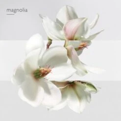 Hermès Un Jardin Sur La Lagune Eau De Toilette 15 Hermès Un Jardin Sur La Lagune Eau De Toilette -Kapao Boutique jardin lagune edt 4