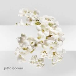 Hermès Un Jardin Sur La Lagune Eau De Toilette 16 Hermès Un Jardin Sur La Lagune Eau De Toilette -Kapao Boutique jardin lagune edt 5