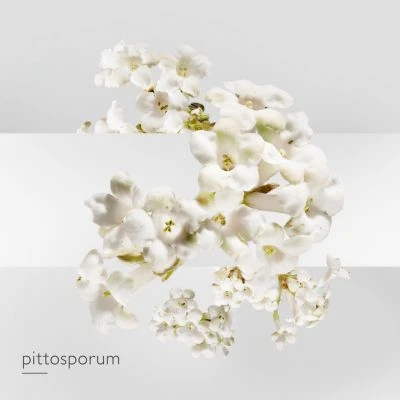 Hermès Un Jardin Sur La Lagune Eau De Toilette 6 Hermès Un Jardin Sur La Lagune Eau De Toilette – Image 6