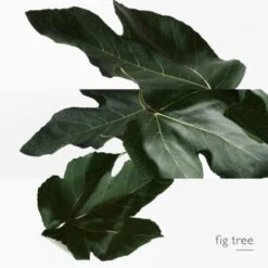 Hermès Un Jardin En Méditerranée Eau De Toilette -Kapao Boutique jardin medit edt 3