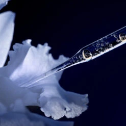 Guerlain Orchidée Impériale La Lotion Essence -Kapao Boutique orchid imp lotion 3