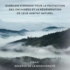 Guerlain Orchidée Impériale La Gelée D'Huile -Kapao Boutique orchidee imperiale 1 7