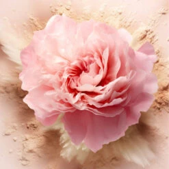 Poudre Libre Poudre Fine -Kapao Boutique poudre libre poudre 14