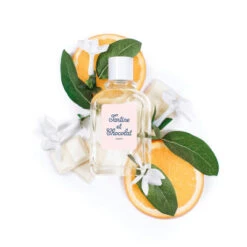 TARTINE ET CHOCOLAT Ptimusc Eau De Toilette -Kapao Boutique ptimusc eau de toilette 5