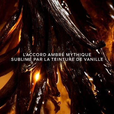 Guerlain Shalimar L'Essence Eau De Parfum Intense 2 Guerlain Shalimar L'Essence Eau De Parfum Intense – Image 2