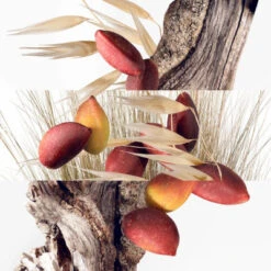 Hermès Un Jardin à Cythère Eau De Toilette 22 Hermès Un Jardin à Cythère Eau De Toilette -Kapao Boutique un jardin a cythere 2